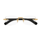 Lunette CARTIER CT0377O 001