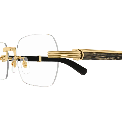 Lunette CARTIER CT0377O 001