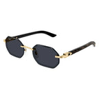 Lunettes de soleil Cartier CT0439S-001