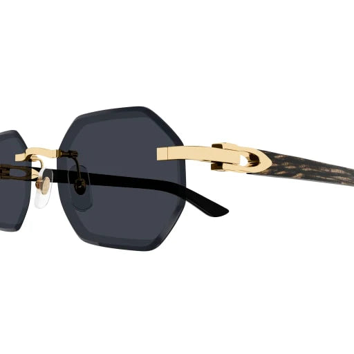 Lunettes de soleil Cartier CT0439S-001