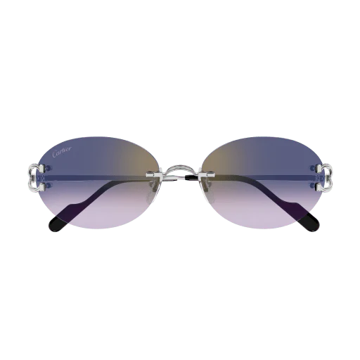 Lunettes Cartier CT0551S-003