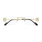 Lunette CARTIER CT03440 001