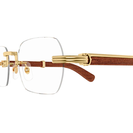 Lunettes CARTIER CT03770 002