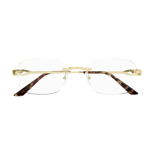 Lunette CARTIER CT0290O 001