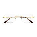 Lunette CARTIER CT0290O 001