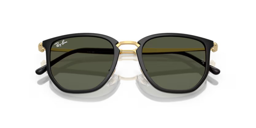 Lunette de soleil RAY-BAN RB4451 630631