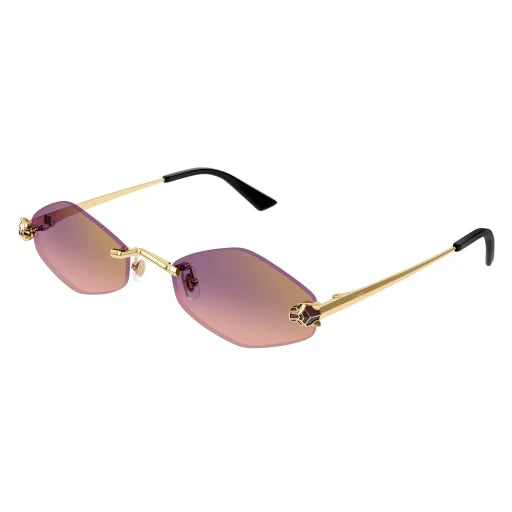 Lunettes de soleil CT0433S-004