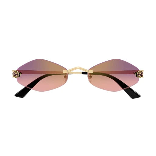 Lunettes de soleil CT0433S-004
