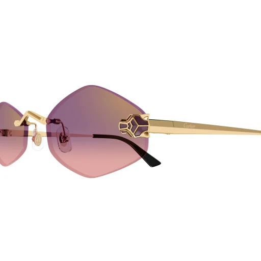 Lunettes de soleil CT0433S-004