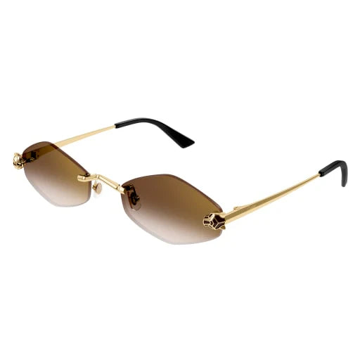 Lunettes Cartier CT0433S-002