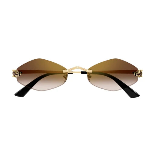 Lunettes Cartier CT0433S-002