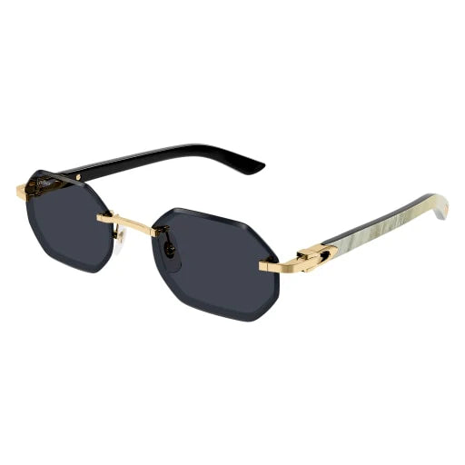 Lunettes de soleil Cartier CT0439S-002