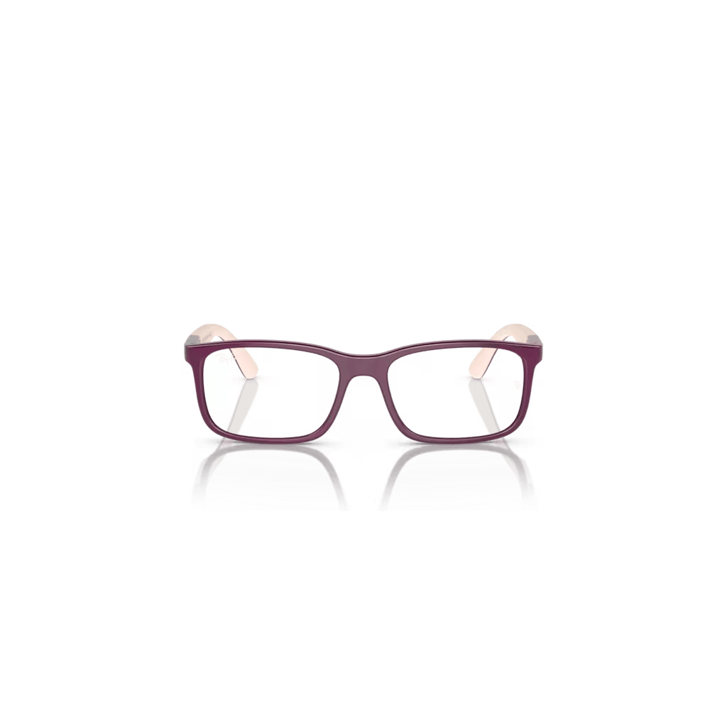 Lunette de vue Rayban 3931 - Pourpre sur marron clair