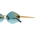 Lunettes Cartier CT0433S-003