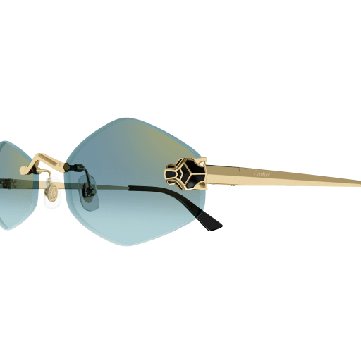 Lunettes Cartier CT0433S-003