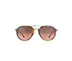 Ray-Ban  RB 4253 710/A5 large