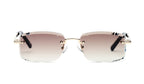 Lunettes de soleil Andy Brook WALTER C60F-T