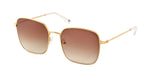 Lunettes de soleil Andy Brook WHITNEY II C40F